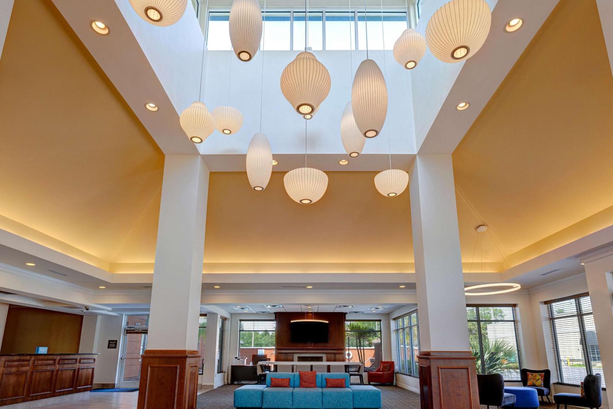 Hilton Garden Inn Tampa Northwest/Oldsmar Exterior photo