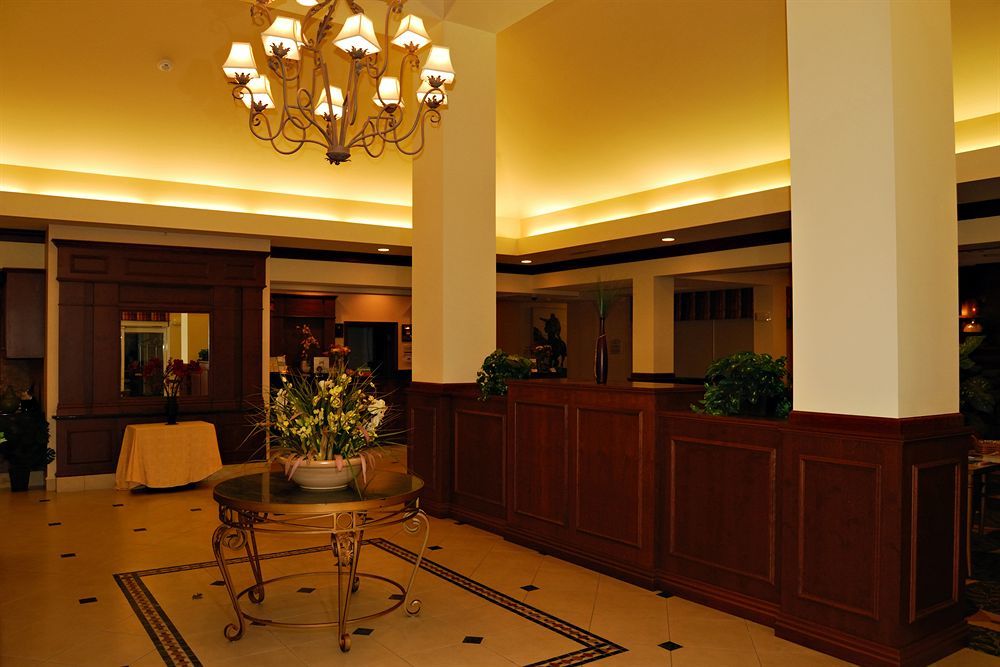 Hilton Garden Inn Tampa Northwest/Oldsmar Exterior photo